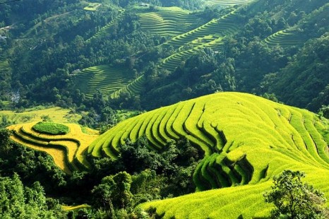 Tour Du Lịch Sài Gòn - Hà Nội - Sapa - Cát Cát - Hàm Rồng 4 Ngày 3 Đêm